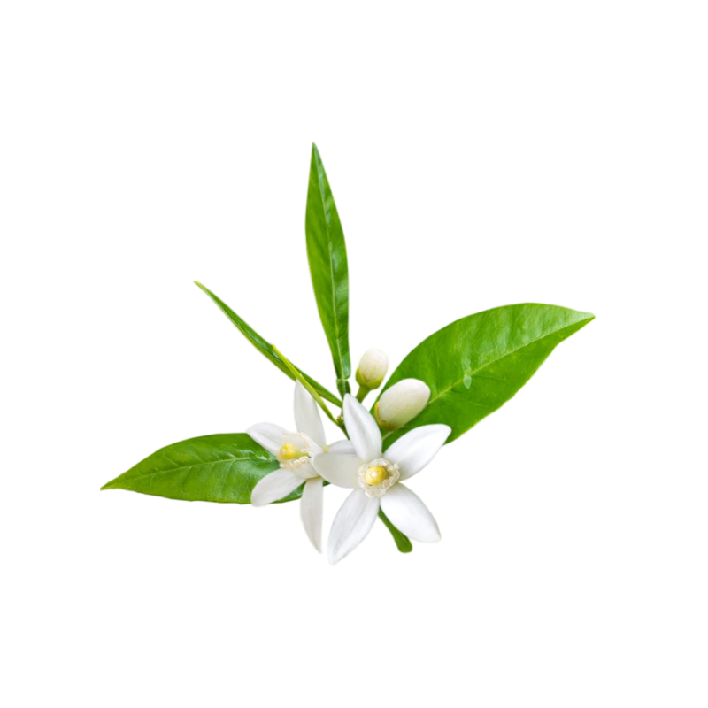 Nerolio eterinis aliejus (karčiojo citinmedžio žiedų)