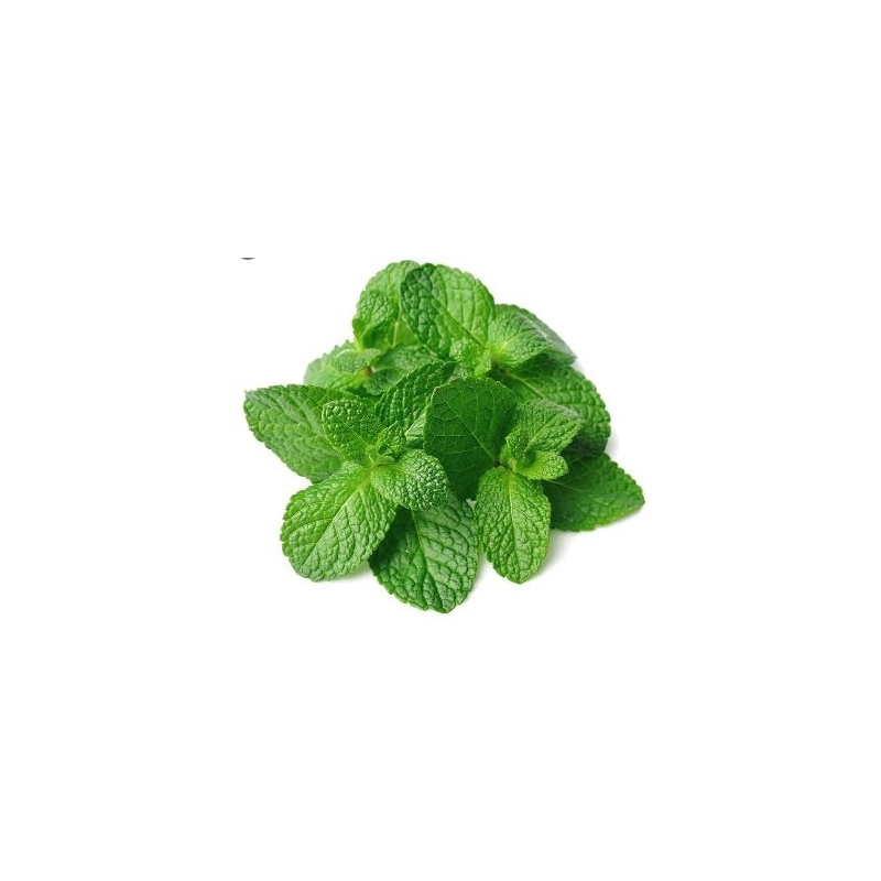 Pipirmėčių eterinis aliejus